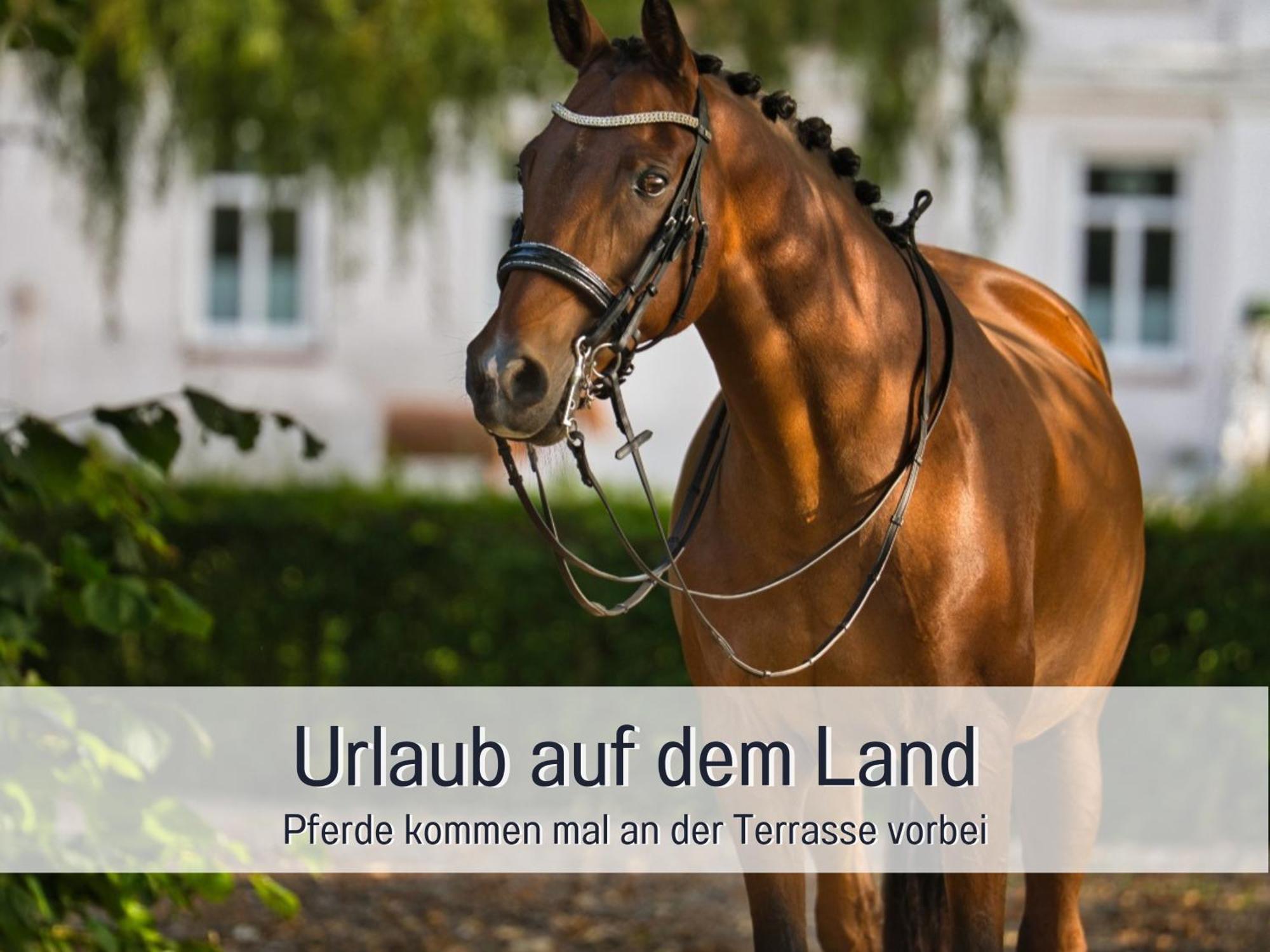 Ramoshansenhof Fewo Foerdebrise Mit Sauna Steinberg  Exterior foto